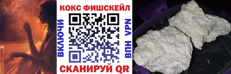 Cocaine FishScale  купить   Разумное 