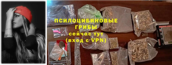 ГАЛЛЮЦИНОГЕННЫЕ ГРИБЫ Алексин