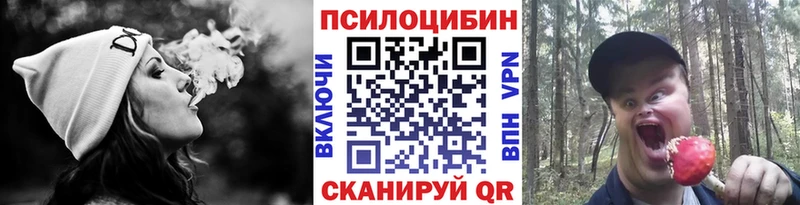 гидра зеркало  Разумное  Галлюциногенные грибы Psilocybine cubensis 